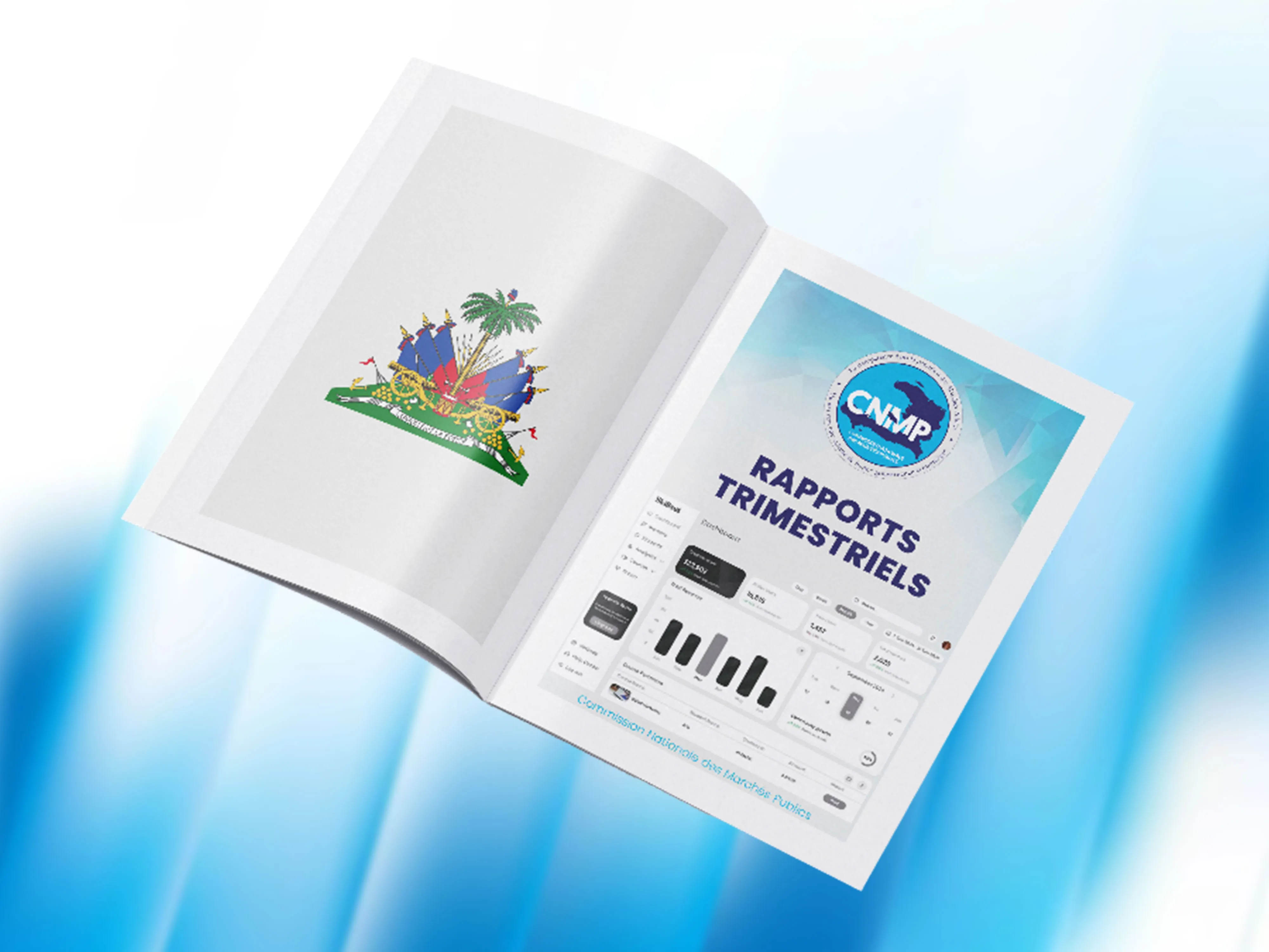 NOM DE L'INSTITUTION :FAES